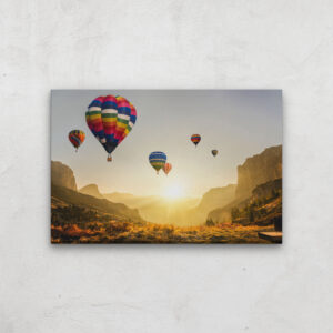 Air Balloons Canvas Print